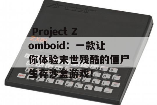  Project Zomboid：一款让你体验末世残酷的僵尸生存沙盒游戏！