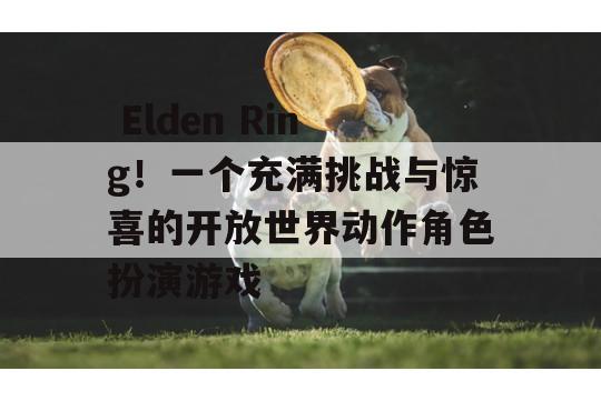  Elden Ring！一个充满挑战与惊喜的开放世界动作角色扮演游戏