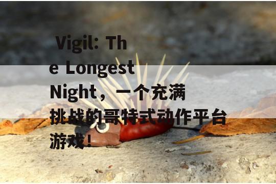  Vigil: The Longest Night，一个充满挑战的哥特式动作平台游戏！