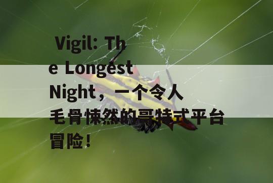  Vigil: The Longest Night，一个令人毛骨悚然的哥特式平台冒险！